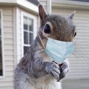 Meet your Posher, Mary pat